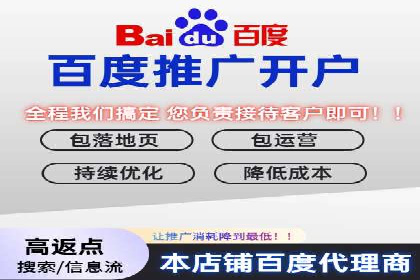 竞价广告端口开户的典型案例剖析
